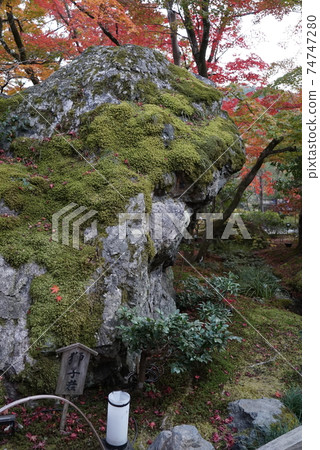 秋天美麗的葉子Hogon-in寺 秋天美麗的葉子Hogon-in寺 74747280