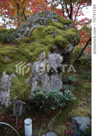 秋天美麗的葉子Hogon-in寺 秋天美麗的葉子Hogon-in寺 74747284