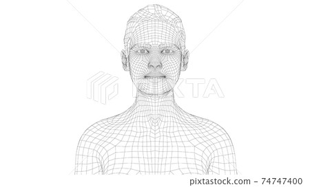 Wireframe portrait of a young beautiful girl 74747400