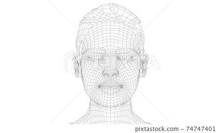 Wireframe portrait of a young beautiful girl 74747401