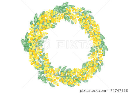 Mimosa flower frame 74747558