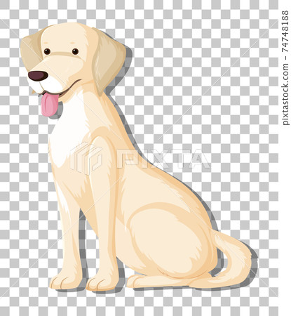 White Labrador Retriever in sitting position cartoon character isolated on transparent background 74748188