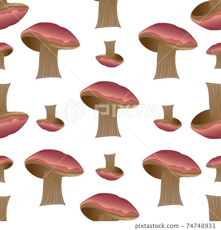 Seamless mushroom pattern with brown cap and gray stem. Vector illustration isolated on white background. 74748931