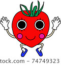 Tomato   74749323