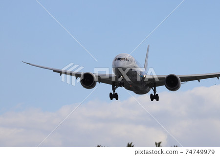 Landing scene of a passenger plane in the blue sky Landing scene of a passenger plane in the blue sky 74749979