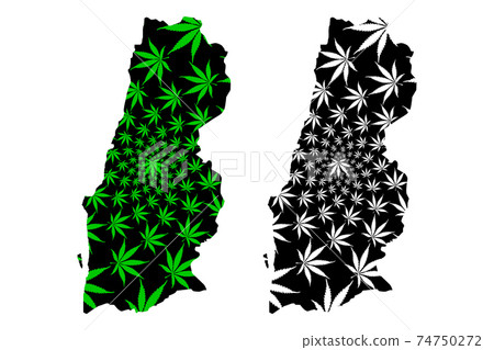 Namibe Province (Provinces of Angola, Republic of Angola) map is designed cannabis leaf green and black, Mocamedes District map made of marijuana (marihuana,THC) foliage.... 74750272