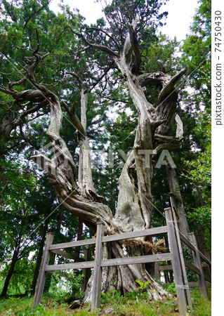 神秘地，世界上最大的金字塔位於日本信濃的信濃山脈。 （明娜神社） 74750430