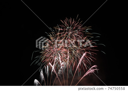 Bright fireworks that bloom beautifully in the pitch-black night sky Bright fireworks that bloom beautifully in the pitch-black night sky 74750558