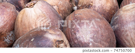 old coconut fruits weathered with close up photo take with brown color old coconut fruits weathered with close up photo take with brown color 74750700
