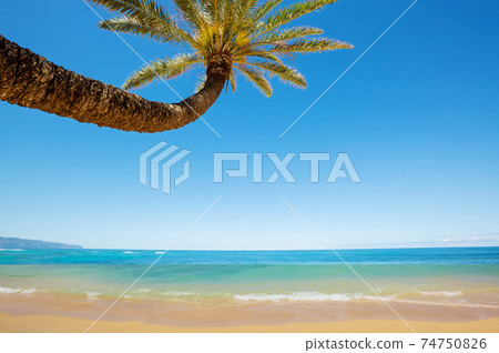 Hawaiian beach Hawaiian beach 74750826