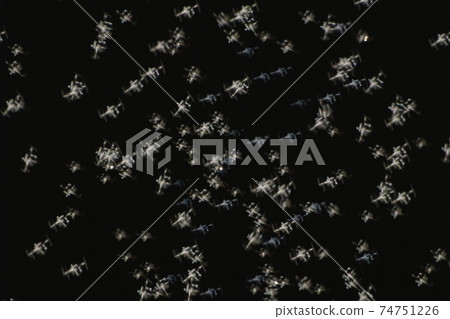 International Space Station 74751226
