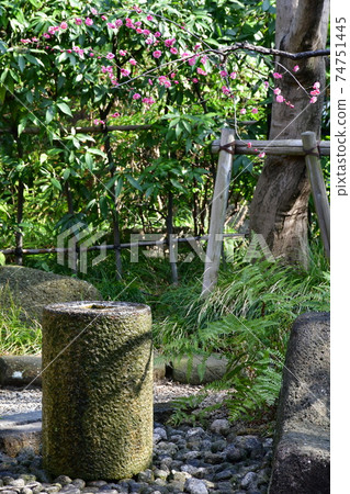 Narayonami in winter 74751445