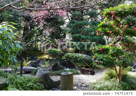 Narayonami in winter 74751473