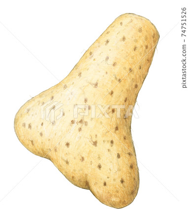 Yamatoimo手繪水彩鉛筆劃 Yamatoimo手繪水彩鉛筆劃 74751526