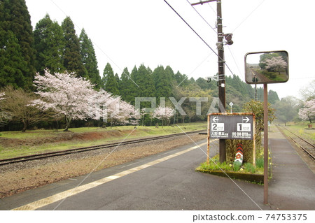 久鬆線Okoba站之家盛開4 久鬆線Okoba站之家盛開4 74753375