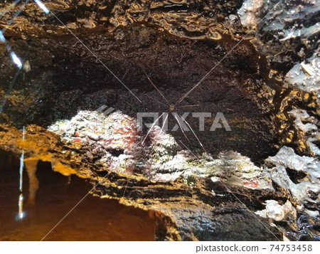 收割者堅持濕的岩石 74753458
