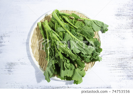 油菜花(香川縣生產)日本春季蔬菜(年糕吃) 油菜花(香川縣生產)日本春季蔬菜(年糕吃) 74753556