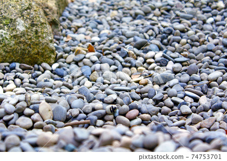 [大阪]初夏的大吉住吉，眾多巨石中的五大石 74753701