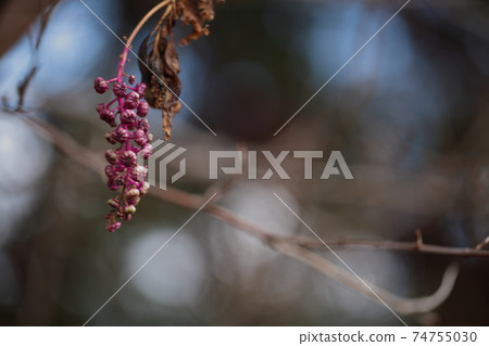 山區鄉房 山區鄉房 74755030