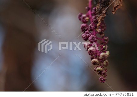 山區鄉房 74755031