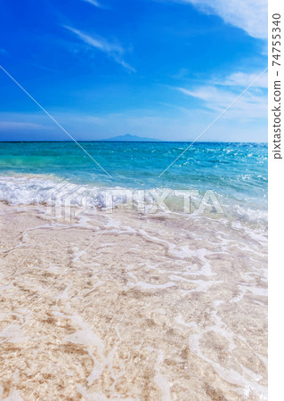 Beach and tropical sea Beach and tropical sea 74755340