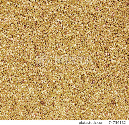 texture of roasted golden flax seed or linseed texture of roasted golden flax seed or linseed 74756182