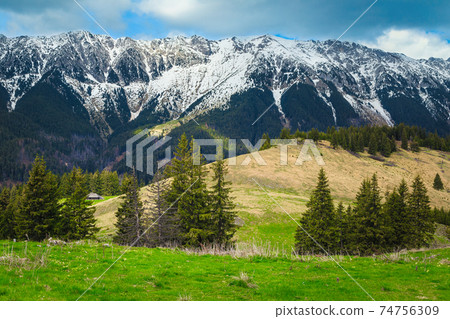 Spring fields scenery with snowy mountains in background, Transylvania, Romania Spring fields scenery with snowy mountains in background, Transylvania, Romania 74756309