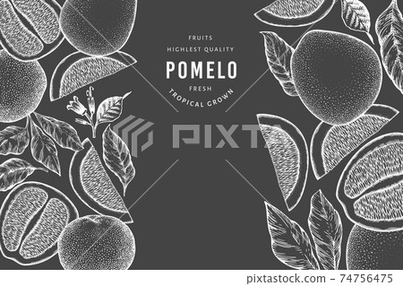 Hand drawn sketch style pomelo banner. Organic fresh fruit vector illustration on chalk board. Retro fruit design template 74756475