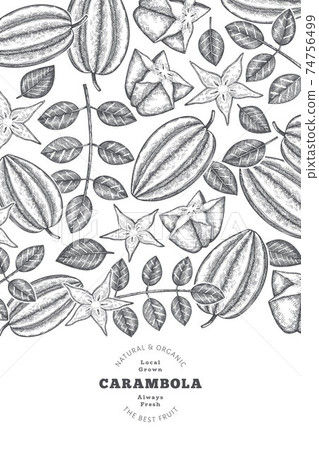 Hand drawn sketch style carambola banner. Organic fresh fruit vector illustration. Retro fruit design template 74756499