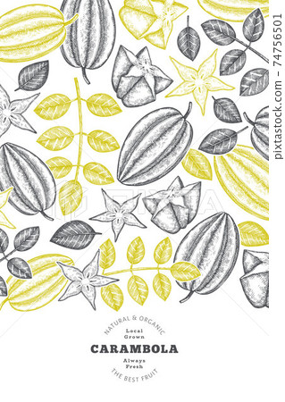 Hand drawn sketch style carambola banner. Organic fresh fruit vector illustration. Retro fruit design template 74756501