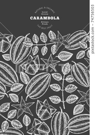 Hand drawn sketch style carambola banner. Organic fresh fruit vector illustration on chalk board. Retro fruit design template 74756503