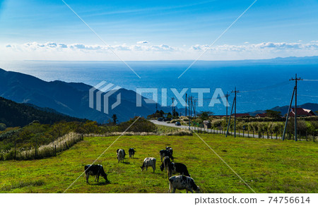 Ranches and cows in the Nishi-Amagi Highlands 74756614
