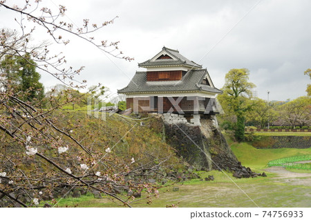 熊本城戌亥砲塔櫻花2 熊本城戌亥砲塔櫻花2 74756933