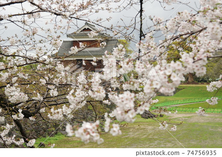 熊本城戌亥砲塔櫻花4 熊本城戌亥砲塔櫻花4 74756935
