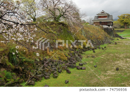 砲塔中的熊本城櫻花5 砲塔中的熊本城櫻花5 74756936