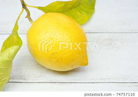 瀨田檸檬 74757110