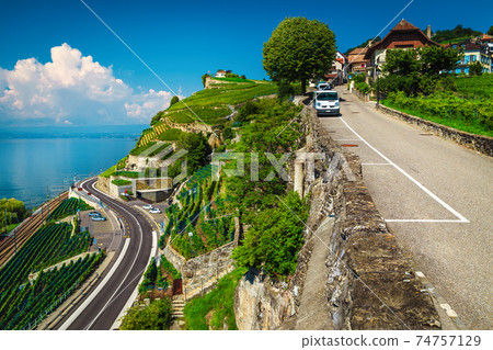 Spectacular vineyards on the shore of the Geneva lake, Switzerland Spectacular vineyards on the shore of the Geneva lake, Switzerland 74757129