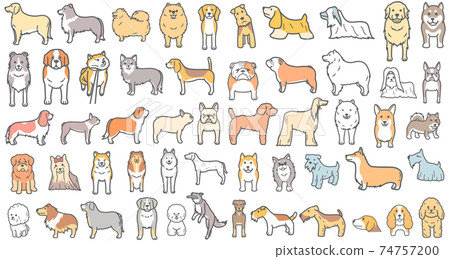 Illustration summary of dogs such as terriers and collies 74757200