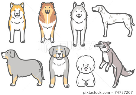 Illustration of dogs such as Siberian Husky Illustration of dogs such as Siberian Husky 74757207