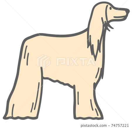 側身阿富汗獵犬圖 74757221