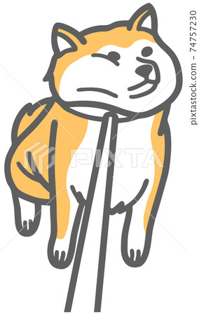 柴犬拒絕回家的插圖 74757230