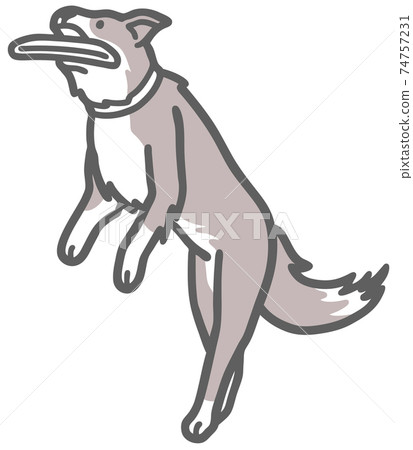 拿著飛盤的邊境牧羊犬的插圖 74757231