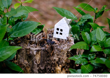 自然環境和微型房屋 自然環境和微型房屋 74758080
