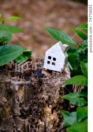 自然環境和微型房屋 74758081