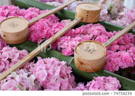 It is a Chozuya. It's Kyoto. It was the hydrangea season. 74758239