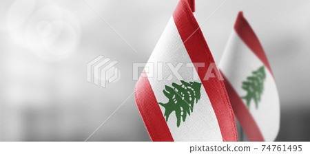 Small national flags of the Lebanon on a light blurry background 74761495
