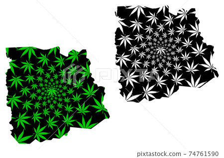 Sassandra-Marahoue District (Ivory Coast, Republic of Cote dIvoire) map is designed cannabis leaf green and black, Sassandra Marahoue map made of marijuana (marihuana,THC) foliage.... Sassandra-Marahoue District (Ivory Coast, Republic of Cote dIvoire) map is designed cannabis leaf green and black, Sassandra Marahoue map made of marijuana (marihuana,THC) foliage.... 74761590
