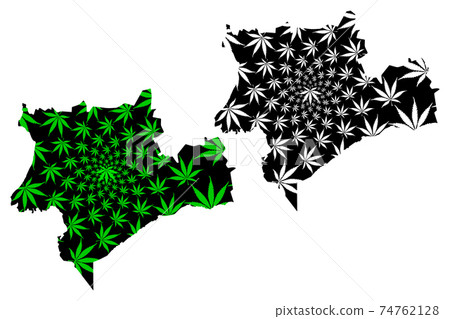 Souss Massa Region (Kingdom of Morocco, Regions of Morocco) map is designed cannabis leaf green and black, Sus-Massa map made of marijuana (marihuana,THC) foliage.... 74762128