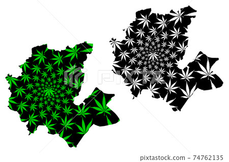 Fes-Meknes Region (Kingdom of Morocco, Regions of Morocco) map is designed cannabis leaf green and black, Fas Meknas map made of marijuana (marihuana,THC) foliage.... 74762135