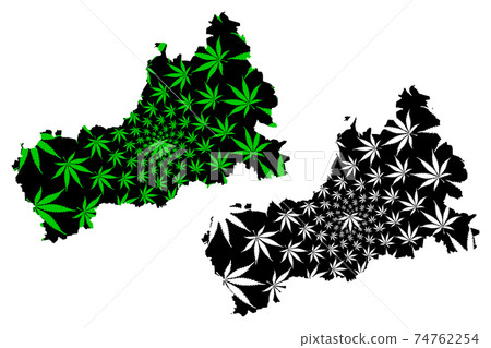 Cherkasy Oblast (Administrative divisions of Ukraine, Oblasts of Ukraine) map is designed cannabis leaf green and black, Cherkasy map made of marijuana (marihuana,THC) foliage.. 74762254